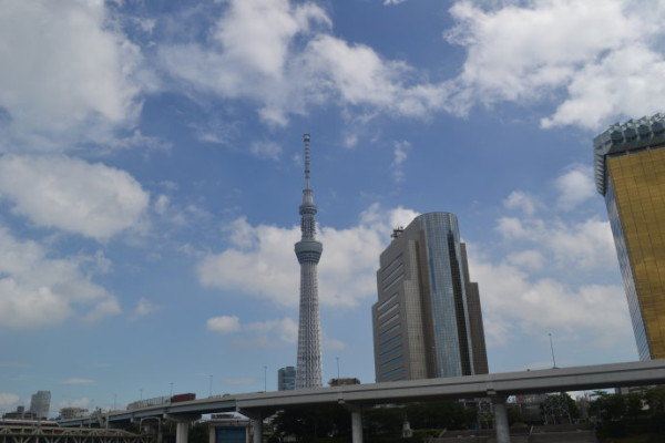 日本,东京和别人不一样的跟团旅游。 - 东京游