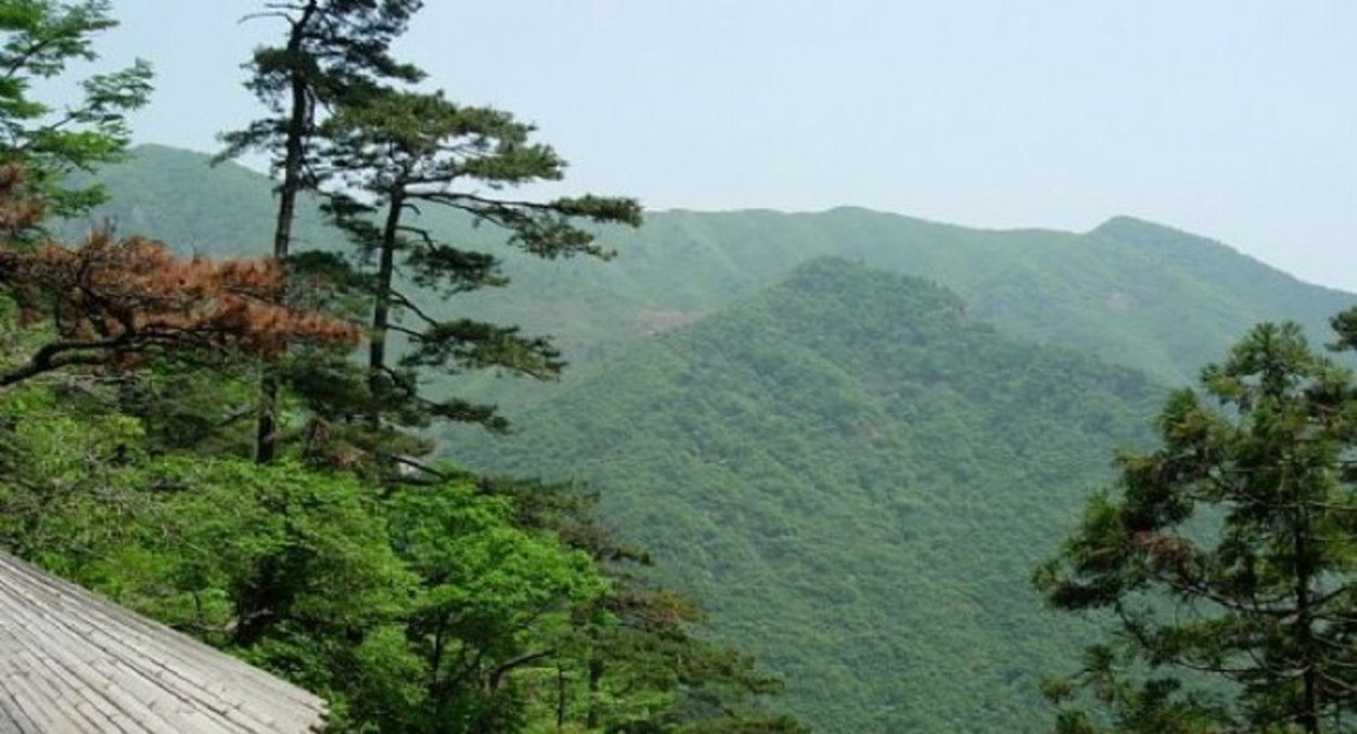 黄浦江源龙王山(长潭村)