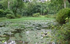 湛江南亚热带植物园天气预报,历史气温,旅游指