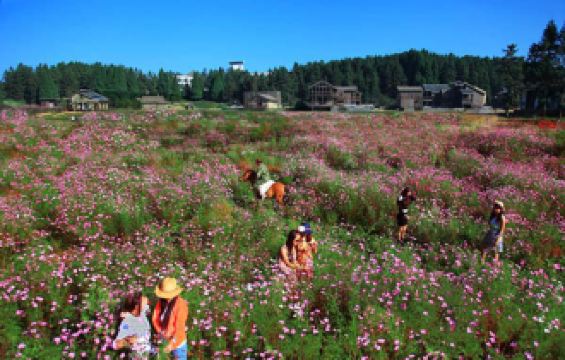 我的<em>仙女山骑马</em>露营之旅 - 携程社区