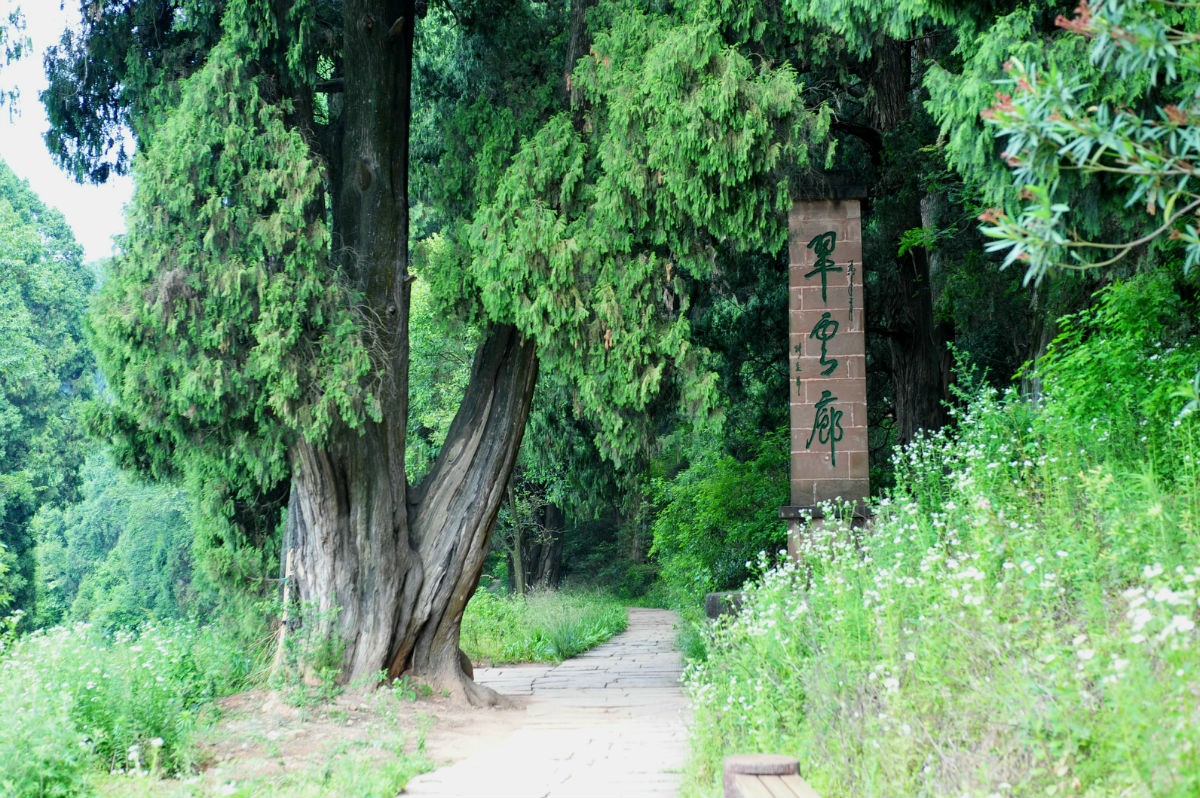 玩不啦景点门票 四川门票 广元门票 翠云廊