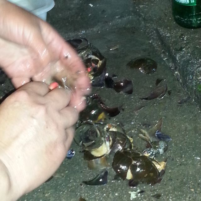 酒瓶子碎图片大全 酒瓶子碎了意味着什么