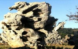 【英石园天气预报】清远英石园天气预报一周,