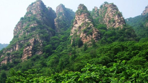 五指山热带雨林风景区