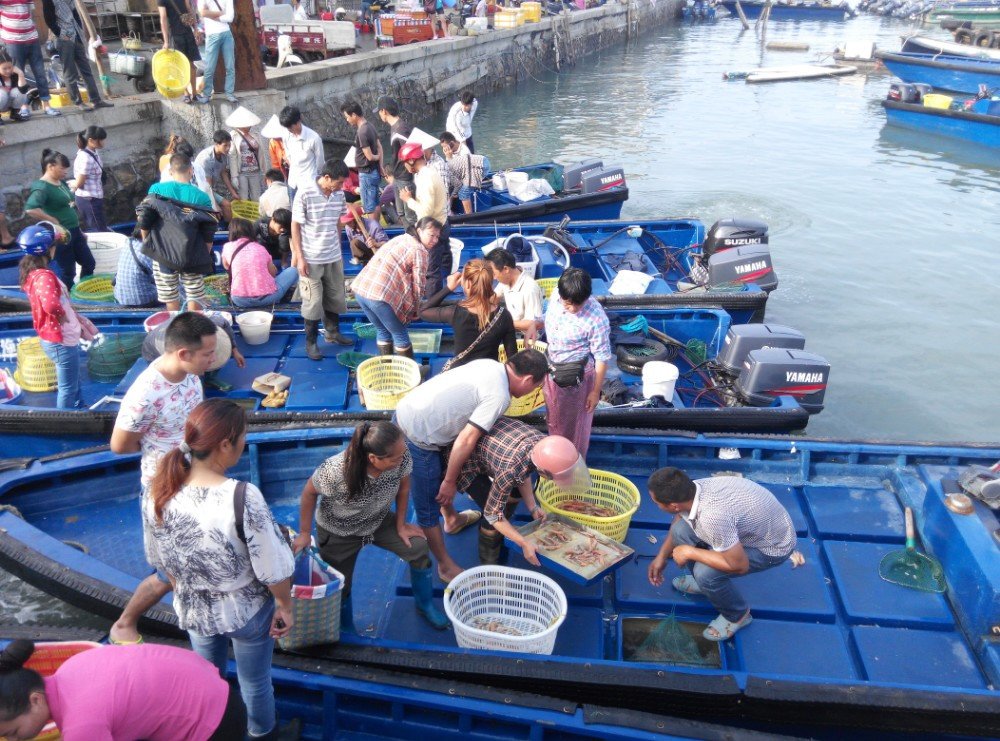 外沙海鲜岛