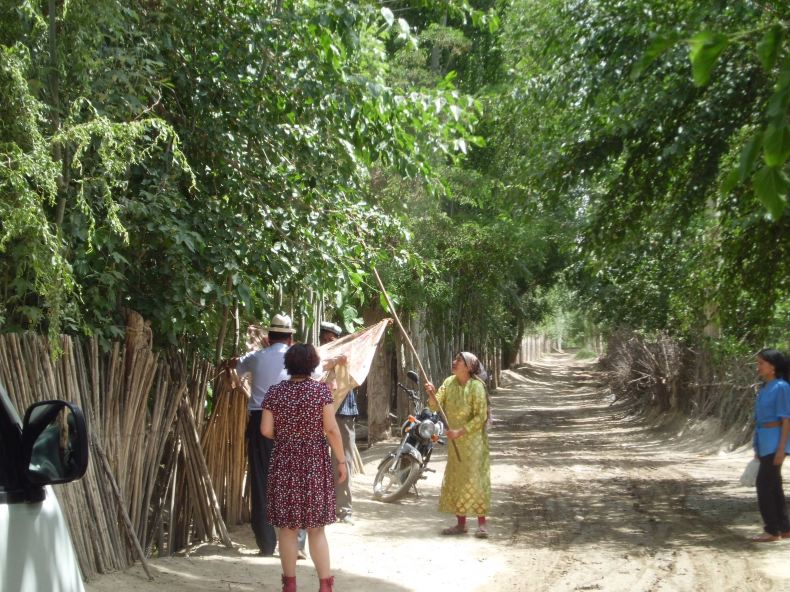 我在叶城 - 喀什游记攻略