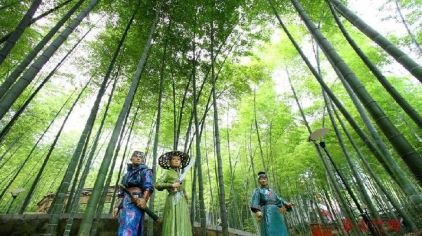 茶山竹海门票多少钱_茶山竹海门票价格_茶山竹海门票