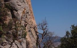 【居吕克山国家公园天气预报】安塔利亚居吕克