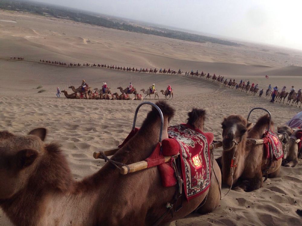 敦煌二日游 - 敦煌游记攻略