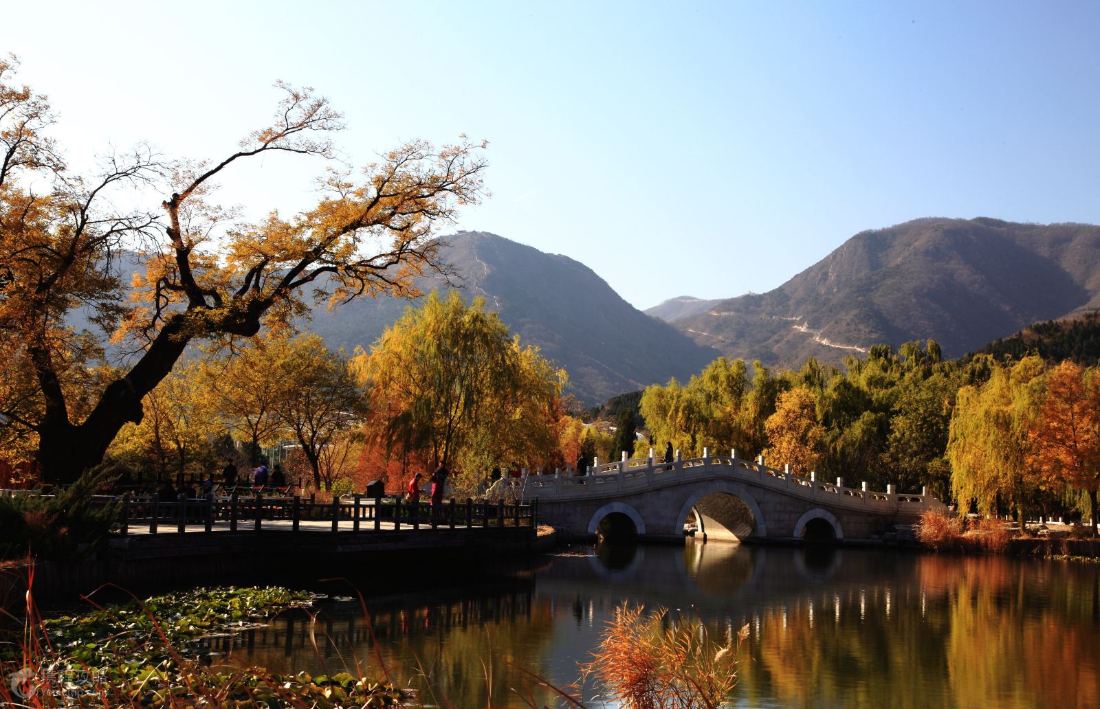 赏枫游·北京2日1晚跟团游·北京香山公园、天坛、南锣鼓巷精品二日游-【携程旅游】