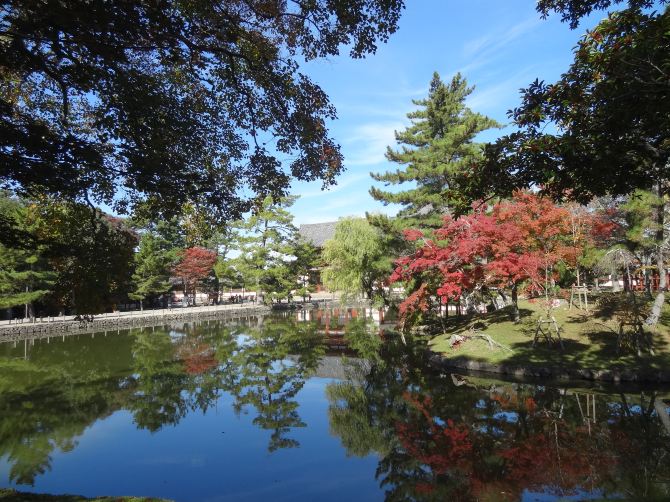 秋日红叶--京都、大阪、奈良、神户自由行(下)