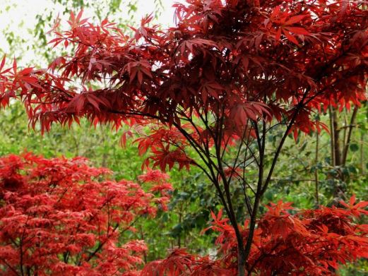 焦作风景图片,焦作旅游景点照片\/图片\/图库\/相册