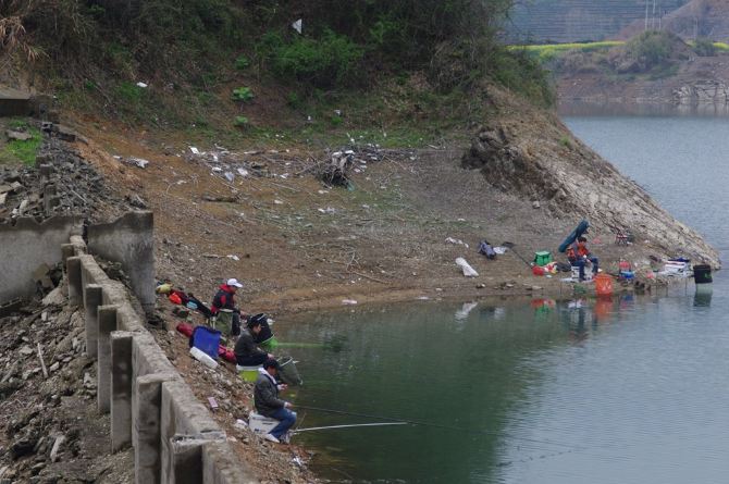 去千岛湖钓黄尾鲴,去杭州临安昌化看山花烂漫