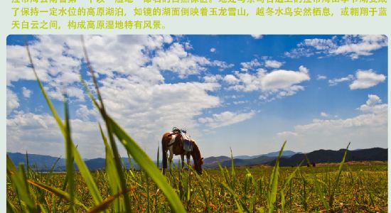 【携程攻略】丽江旅游行程策划师-小宇-达人咨