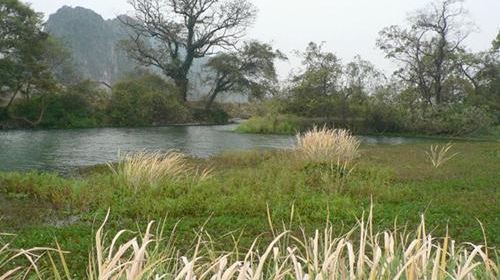 沅江桃花江风景区-介绍,门票,点评,照片,视频,攻