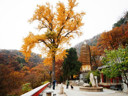 蓟县风景图片,蓟县旅游景点照片\/图片\/图库\/相册