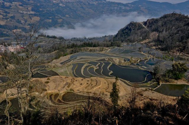 麻栗寨梯田