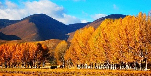 拉萨旅游人口_拉萨旅游穿衣搭配图片(3)