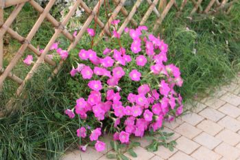 Let's outing!来一次土豪周末游! - 莫干山游记攻