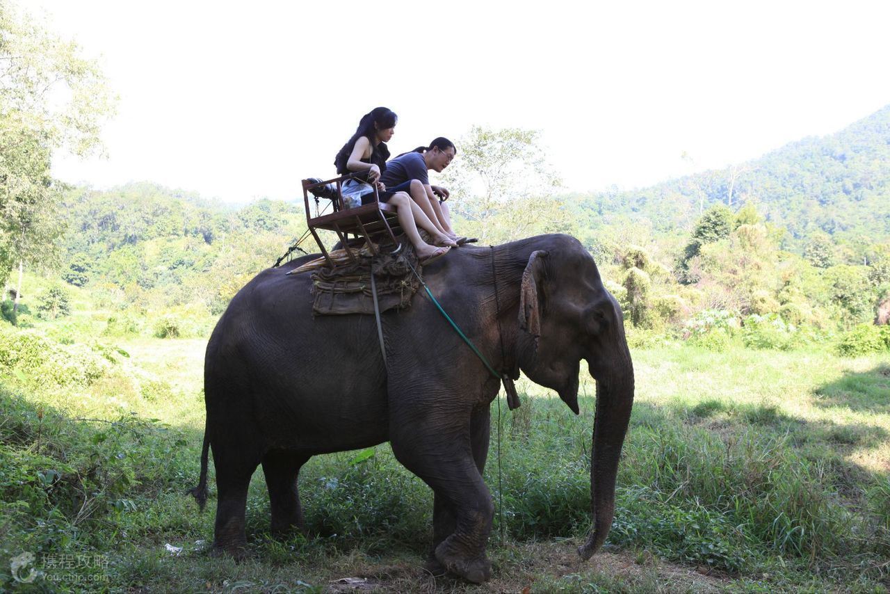 泰国曼谷+芭提雅7日5晚跟团游·香港转机 全程