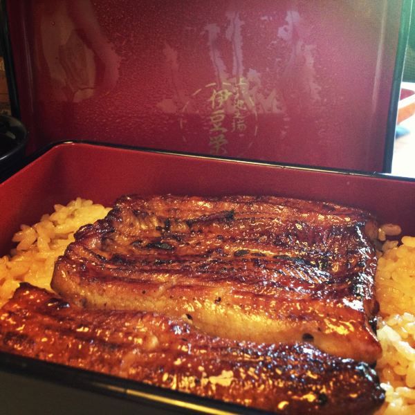 游走在东京铁塔的幸福与箱根温泉的静谧之间 