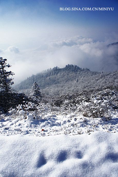 西岭雪山:未到北方,白雪茫茫