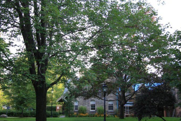 加拿大东部7日自驾游纪行兼路书(兰辛-尼亚加