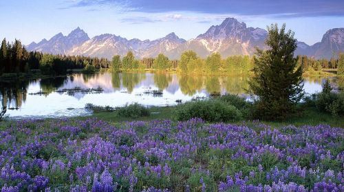 普罗旺斯旅游照片,普罗旺斯景点图片,图库,相册