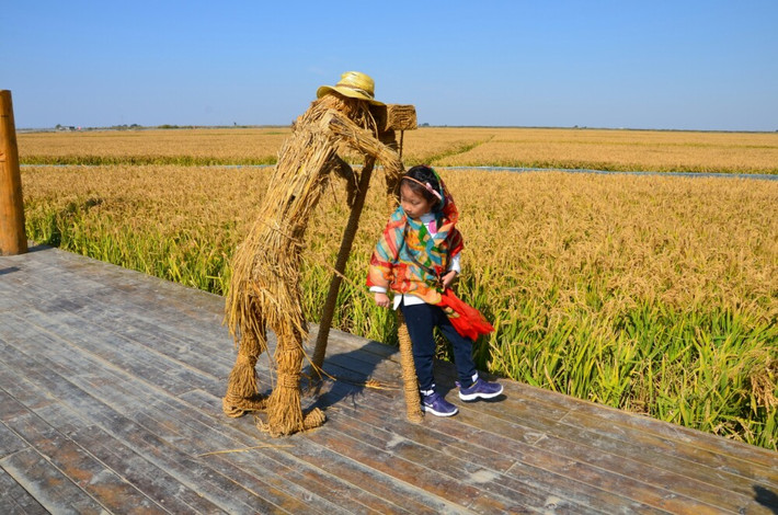 【十一攻略东风景之四】世界游记红海滩,自驾重庆周自驾游奇观图片