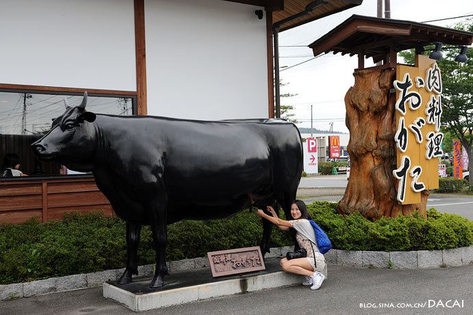 【日本】东北夏日游:前泽牛肉,荞麦面和平泉