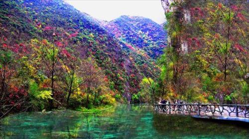 五龙河风景区门票预订_五龙河风景区门票价格_五龙河风景区门票多少钱