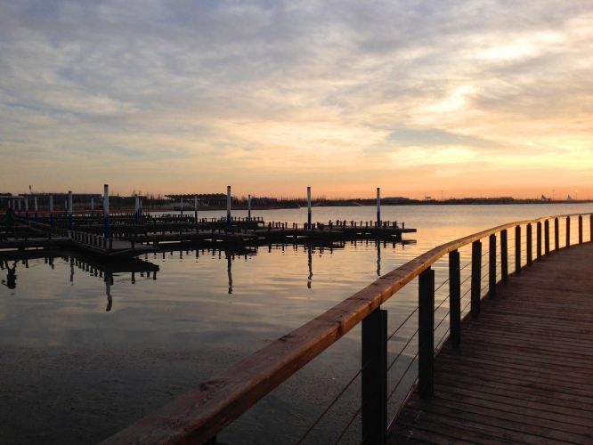 【加游站】大丰麋鹿自然保护区 - 大丰游记攻略