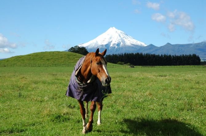 新西兰自由行攻略 - 奥克兰游记攻略【携程攻略