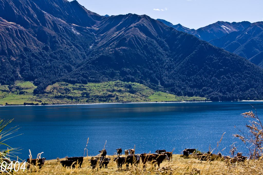 我要去大草原的湖边_我们去大草原的湖边_让我们去大草原的湖边 - 久久健康网