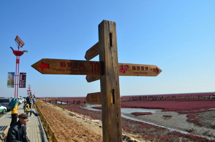 【十一自驾东世界之四】奇观游记红海滩,攻略温泊风景图片