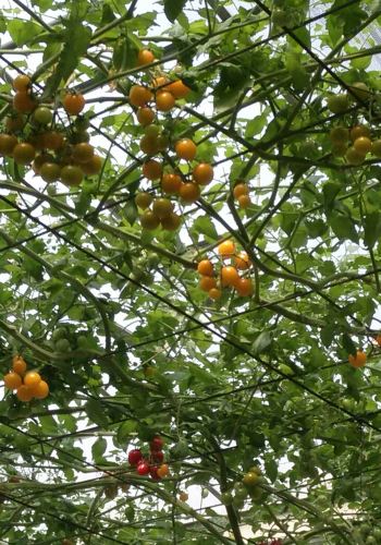 广州珠海深圳三地游 - 珠海游记攻略