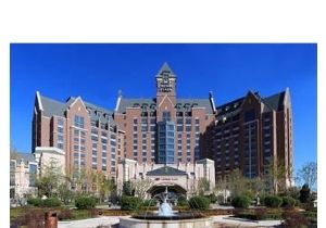 【携程攻略】天津菜汁牛肉煎包哪里吃,天津哪