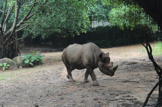武汉出发到广州长隆之行 - 广州游记攻略