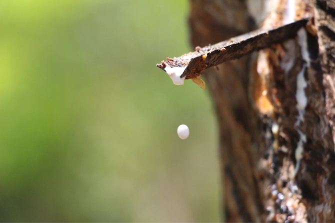 #行行摄摄#普吉岛--so hot - 普吉岛游记攻略