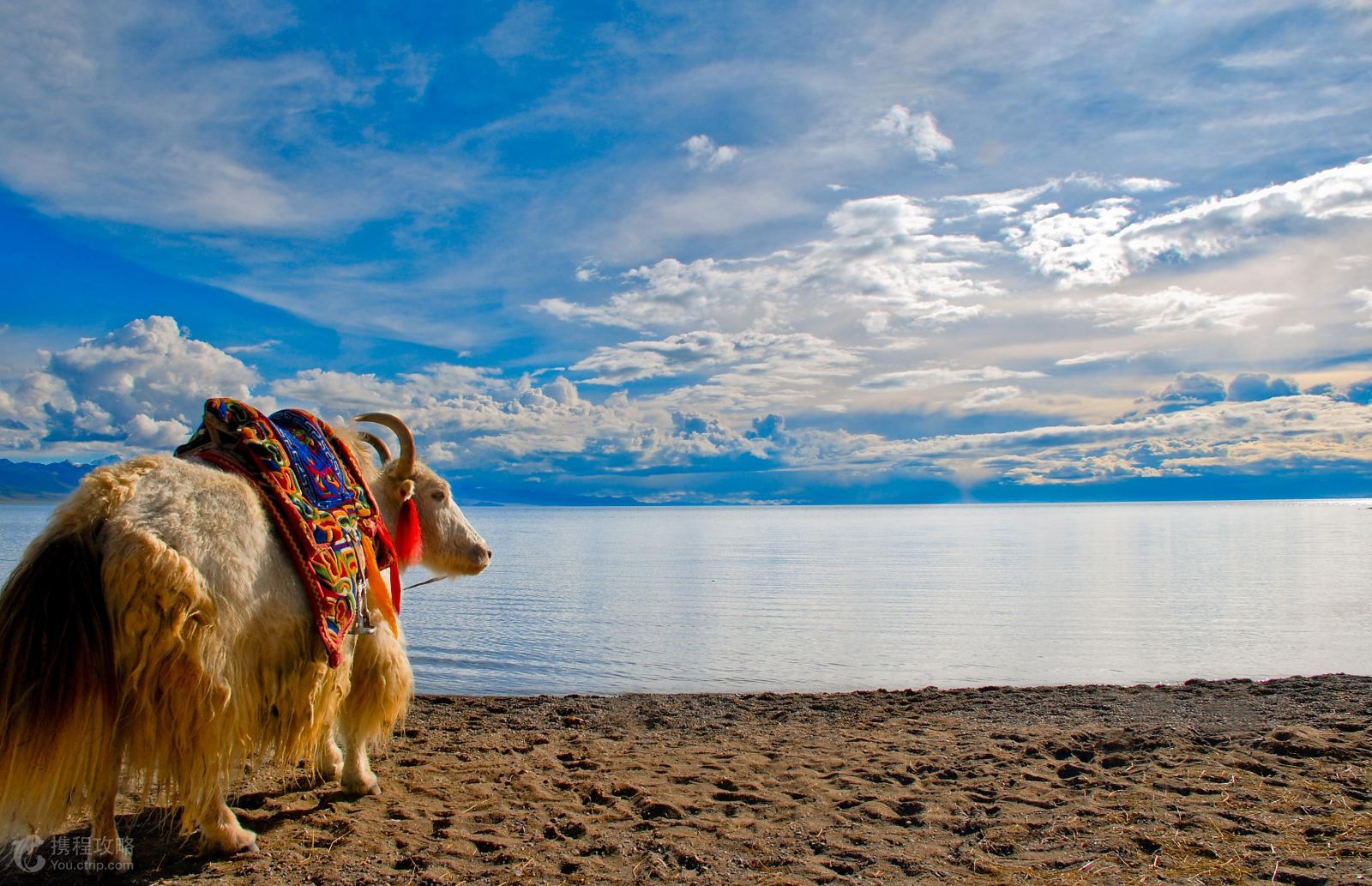 拉萨+林芝+羊卓雍措+纳木措+大峡谷12日跟团