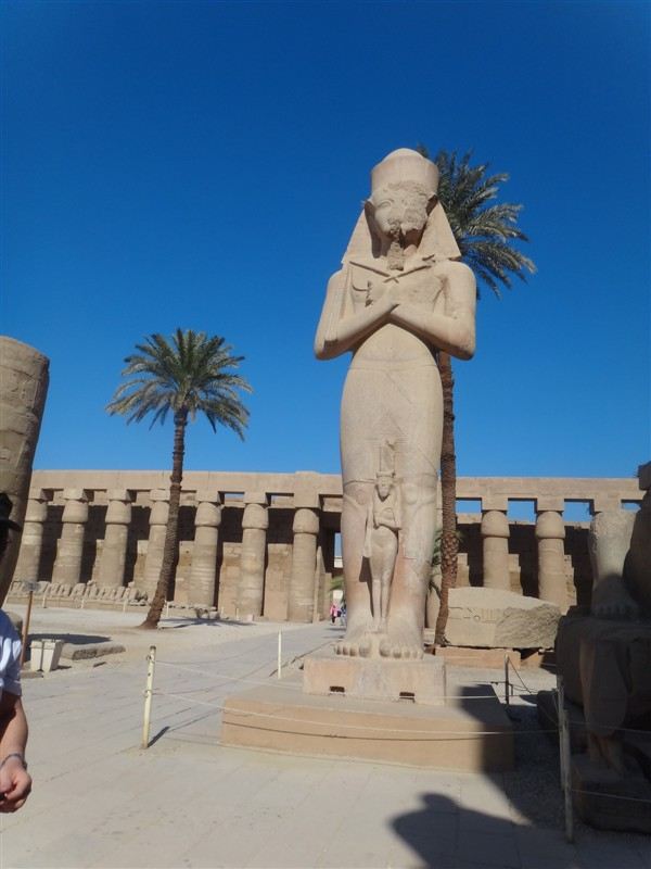 12月埃及和朋友8日跟团摄影人文海滨美食游,开