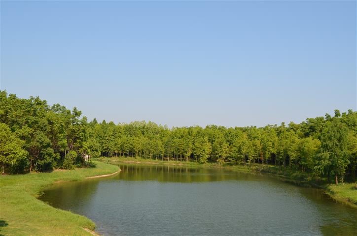 2013年8月10日,上海奉贤(东海观音寺,碧海金沙,海湾国家森林公园)