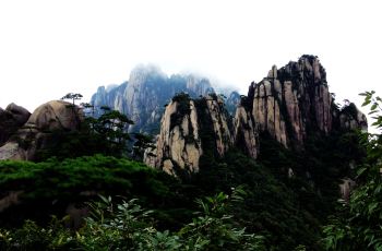 万笏朝天,三清山万笏朝天攻略/地址/图片/门票【携程