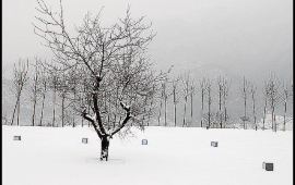 【昌平印象山庄天气预报】北京昌平印象山庄天