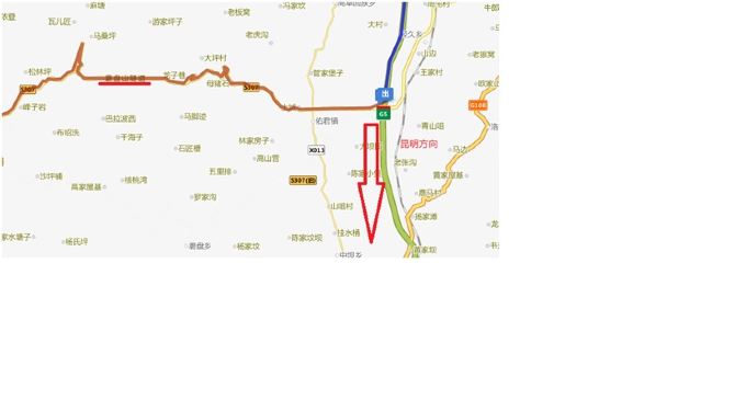 出去是s307,西昌/攀枝花方向,途径盐源县.图片