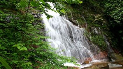 浠水三角山国家森林公园