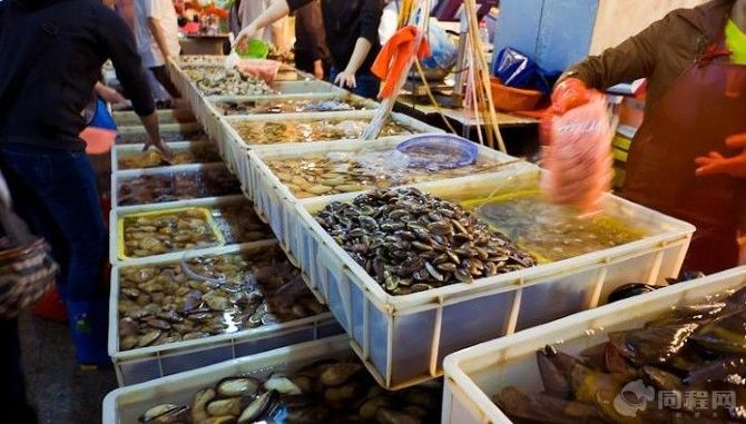 [原创]2013三亚第一市场海鲜一条街防宰攻略【
