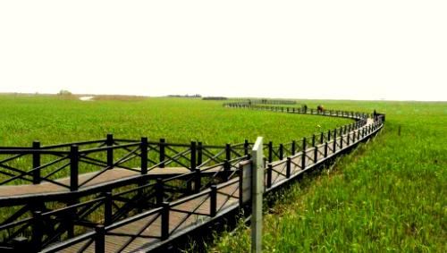 崇明旅游照片,崇明景点图片,图库,相册–携程社区