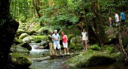 【携程攻略】凯恩斯凯恩斯库兰达一日游【热带