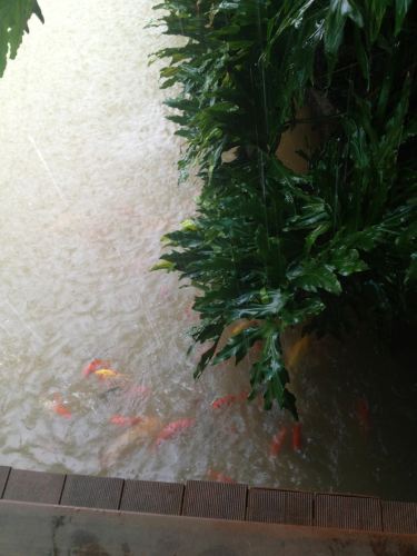 2014年6月桂林阳朔五日游 - 桂林游记攻略